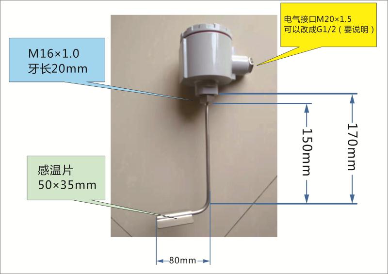 電伴熱專用熱電阻HNC-146-PT100